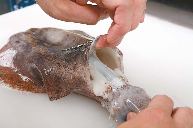 イカの捌き方を解説 魚より簡単 ルアマガプラス