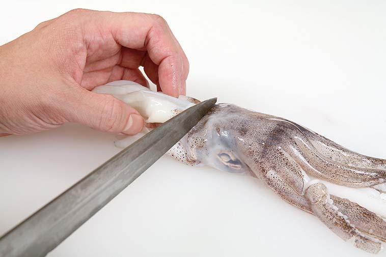 イカの捌き方を解説 魚より簡単 ルアマガプラス