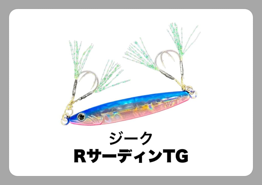 RサーディンTG [ジーク]〈ルアマガ的定番タックルカタログ｜ソルト