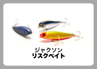 エアラコブラ 60 [アイマ]〈ルアマガ的定番タックルカタログ