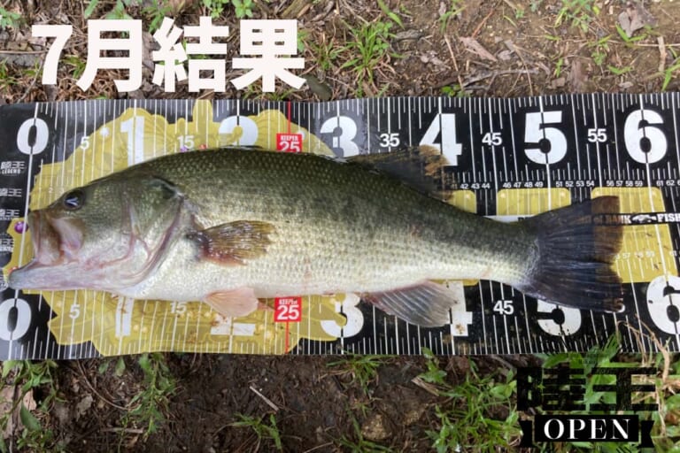 【陸王オープン2022】白熱した展開が繰り広げられた「陸王オープン」（7月）の分析結果をお届け！