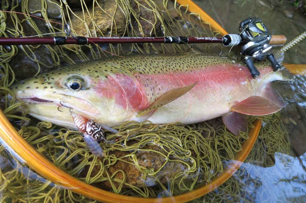 水面炸裂！】渓流にもトップの釣りがあるって知ってる？ Fishman赤塚