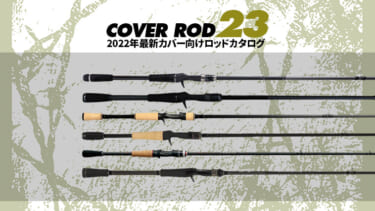 coverrod02-375x211.jpg