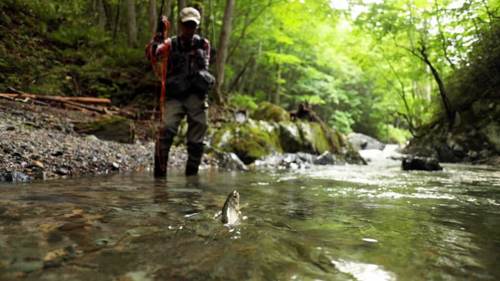 9月8日（木）レジェンドFly Fisher 夏の山岳渓流を釣り歩く【釣り百景】│ルアマガプラス