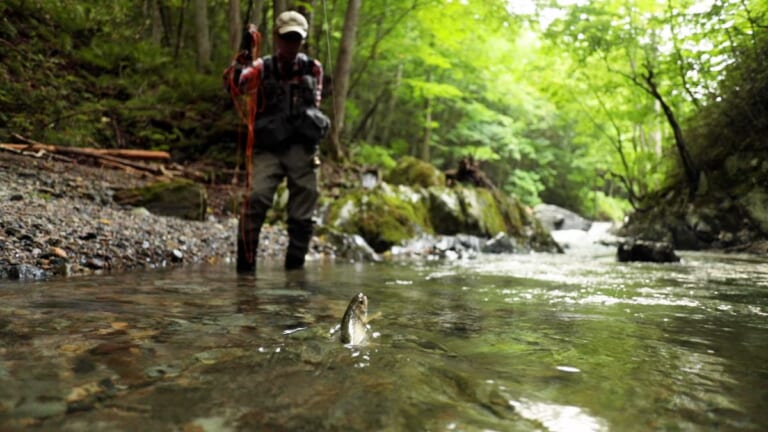 9月8日（木）レジェンドFly Fisher 夏の山岳渓流を釣り歩く【釣り百景】