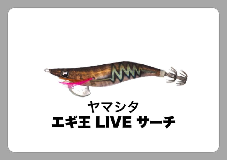 エギ王 LIVE サーチ [ヤマシタ]〈ルアマガ的定番タックルカタログ｜ソルトルアー〉