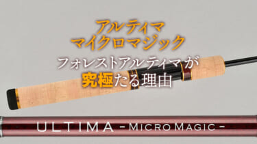 カエルの魔界へ進出！編集部員が「即お気に入り」になった