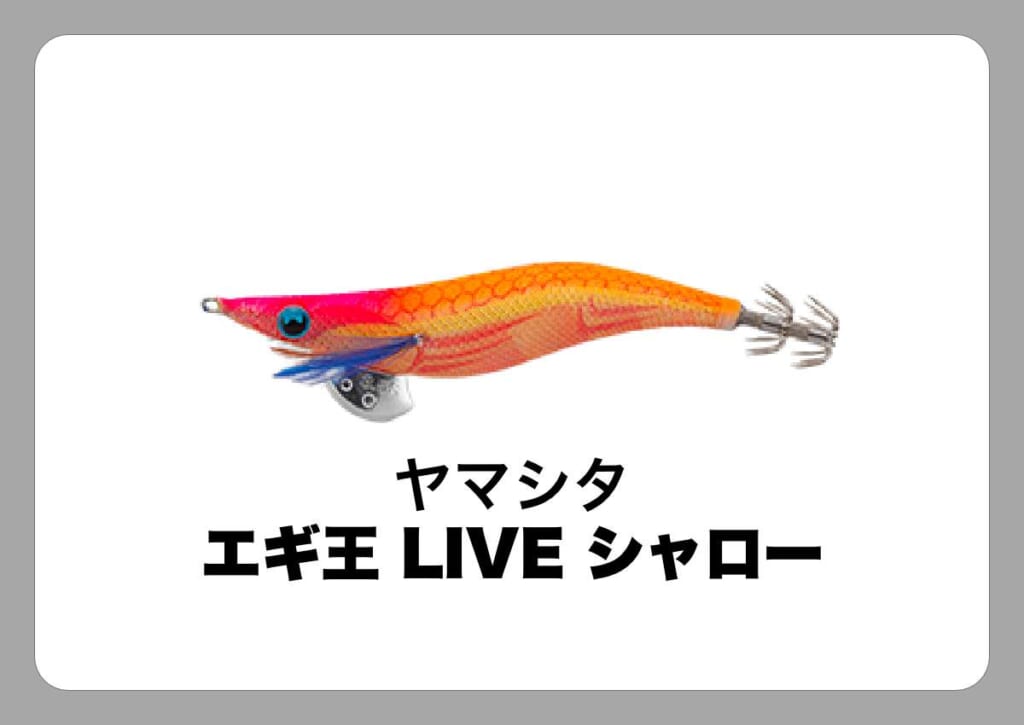 エギ王 LIVE シャロー [ヤマシタ]〈ルアマガ的定番タックルカタログ