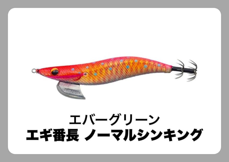 エギ番長 ノーマルシンキング [エバーグリーン]〈ルアマガ的定番タックルカタログ｜ソルトルアー〉