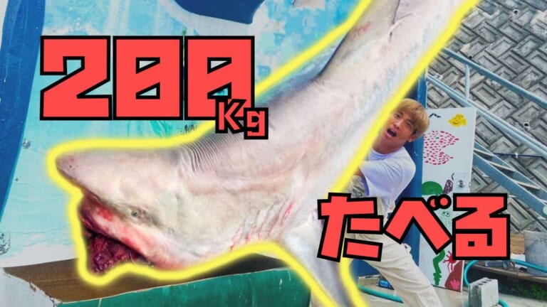 200kg超え腹パンパンの超巨大サメを捌いて大量の油で揚げて食べる【ハイサイ探偵団】