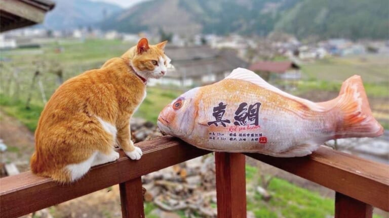 本物と見間違えるリアルさ！ 令和の魚拓「ぎょたクッション」150cm級の巨大魚が家の中に!? Twitterキャンペーンも開催中