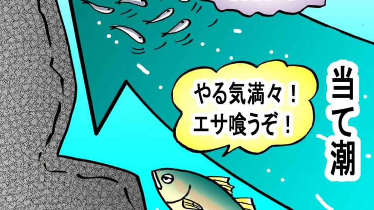 “当て潮”って何!?ショアジギングで重要な潮流の攻略をエキスパートがわかりやすく解説！効果的なルアーローテーションも公開！