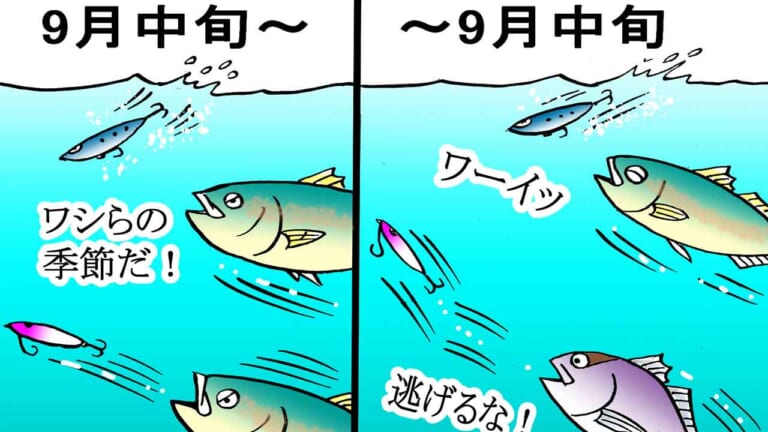 秋シーズン本番！ 磯の大型青物ゲームを始める方法は？ 渡船利用なら釣果率もUP！