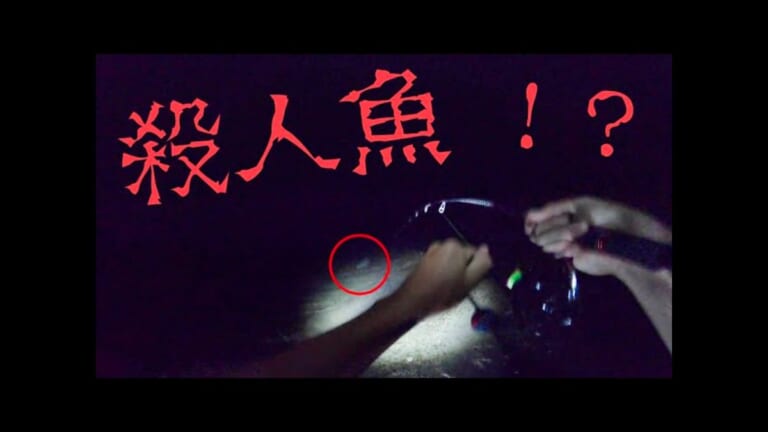 夜サーフの波打ち際に餌放り込んだらヤバイ殺人魚が襲来［沖縄県・石垣島］【ヨネスケ】