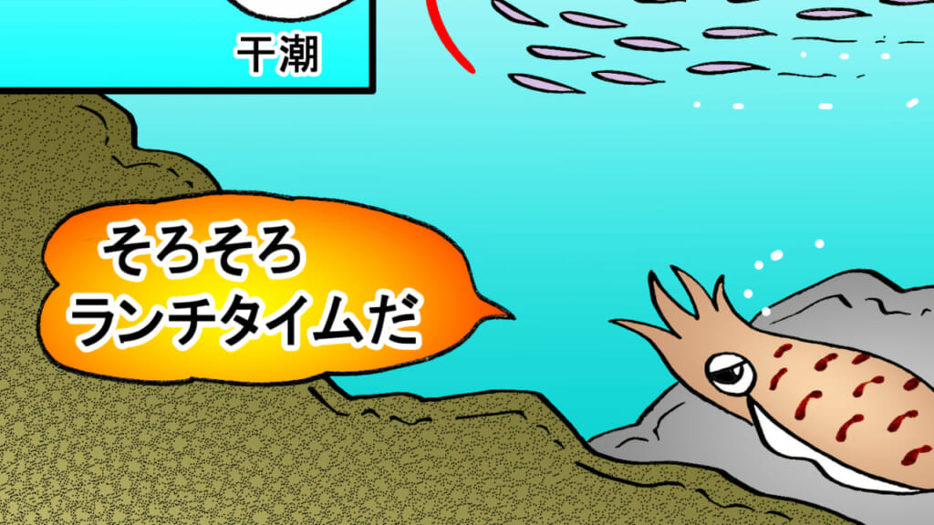 11月の目標は1kg超え！水温20℃を下回る頃アオリイカのサイズもUP