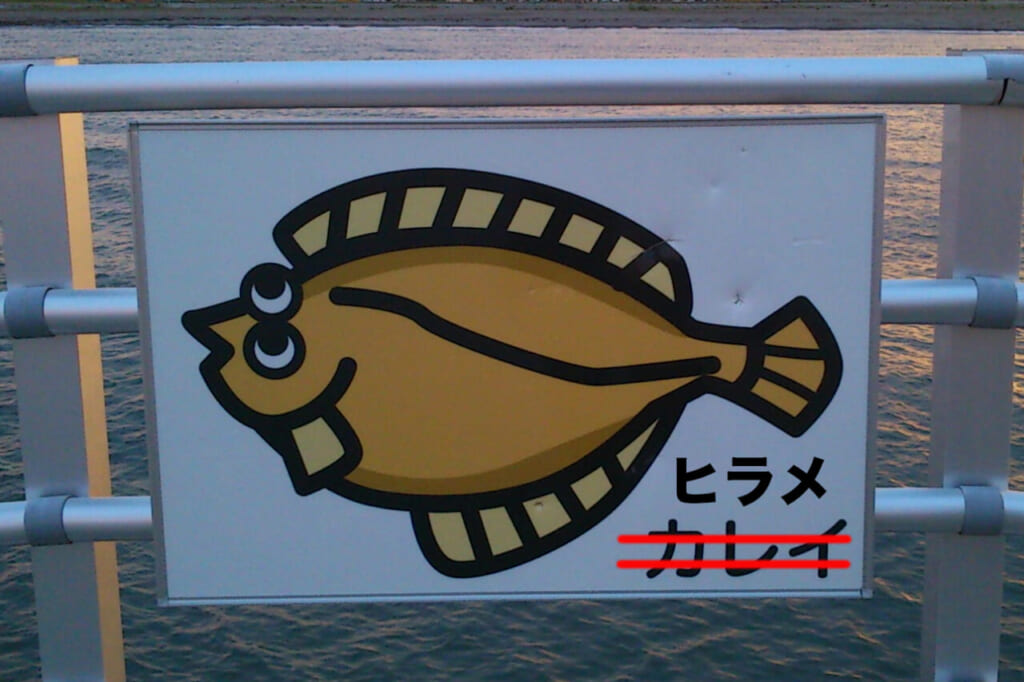 あれっ！何か変？北海道の港で見かけた看板の違和感とは？［ヒラメ