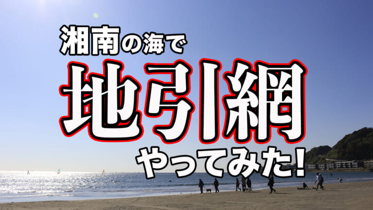 【何が捕れた？】湘南の海で地引網をやったら大漁だった！サメも入って大騒ぎに［鎌倉市・由比ヶ浜］