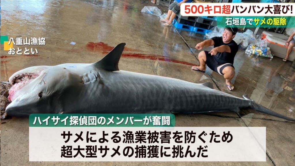 最大560kg》サメ115匹捕獲・Youtuberが密着［沖縄県］│ルアマガプラス