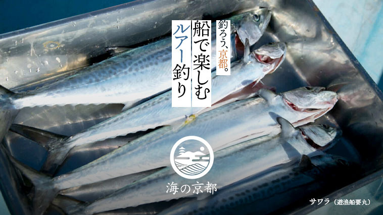 ｜『釣ろう、京都。』海の京都を「釣り」で満喫！【その3】