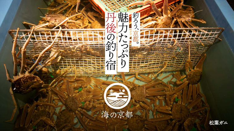 ｜『釣ろう、京都。』海の京都を「釣り」で満喫！【その5】