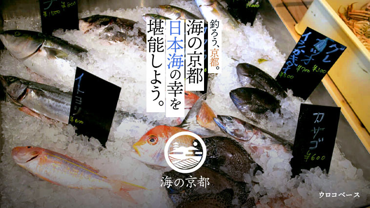 ｜『釣ろう、京都。』海の京都を「釣り」で満喫！【その7】