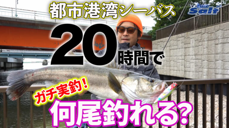 【特別企画】東京湾奥シーバス超過酷企画に大野ゆうきプロが挑戦!意外過ぎる結果に…!［モアザン20周年記念］