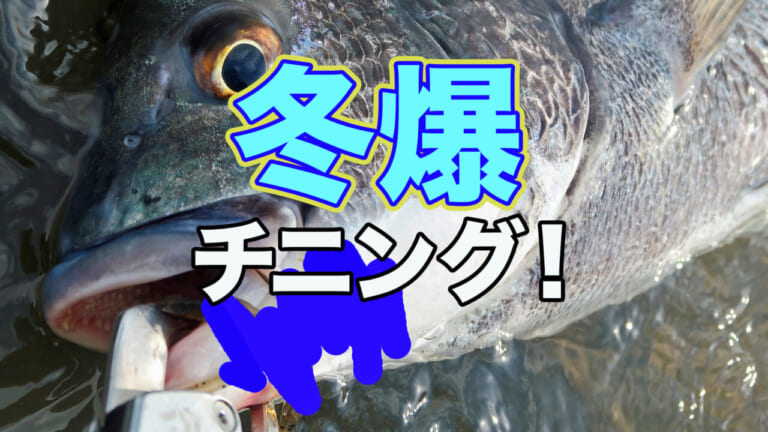 「時速10枚・15枚」驚異的な釣れっぷり！冬爆の正体とは？【もりぞー的 アーバンチニング 第5回】