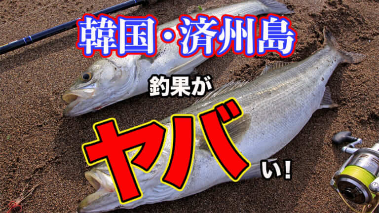 ［韓国・済州島］陸っぱりでルアー釣りをしたらレア魚もヒットしてヤバい結果に！釣果を紹介！