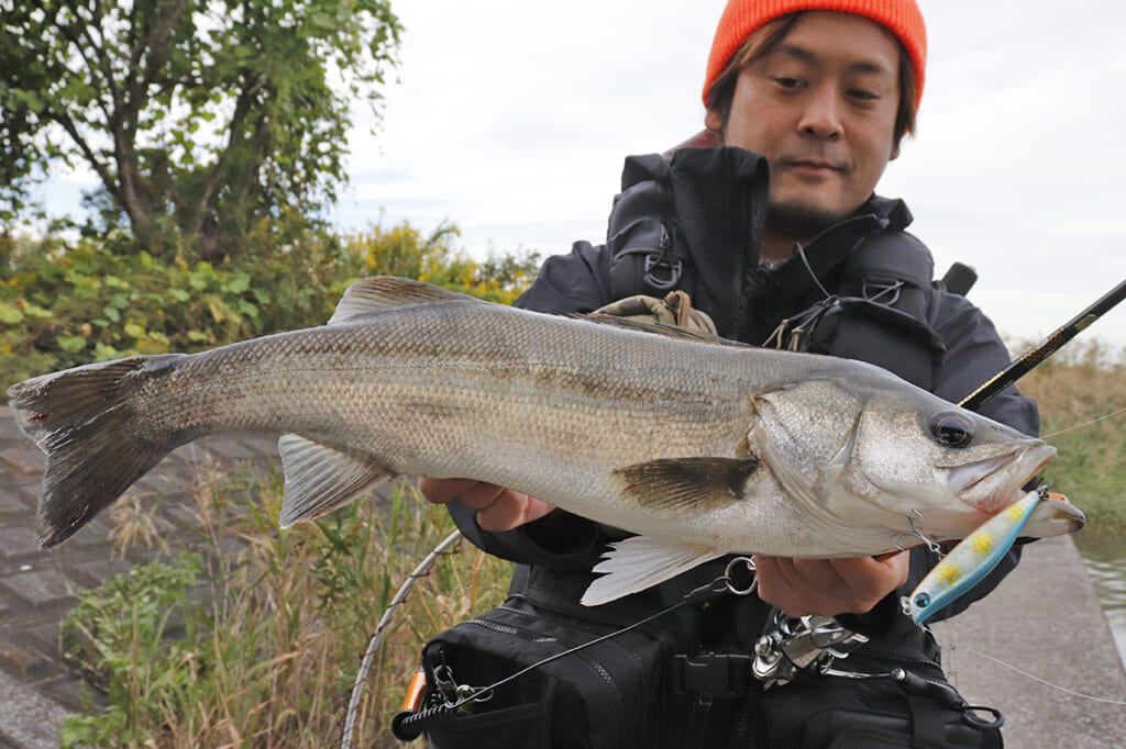 日本のシーバス釣りを「東京湾奥から変えた」カリスマ・大野ゆうきがDAIWA共に作り上げた新たな景色とは【モアザン20周年記念特別企画】│ルアマガプラス