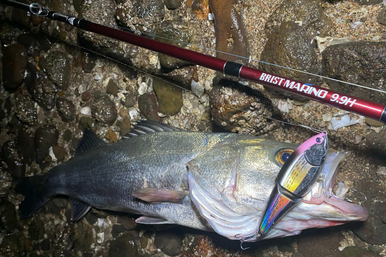 流れの中でもしっかりと魚を止める！一度使うと手放せなくなるのは