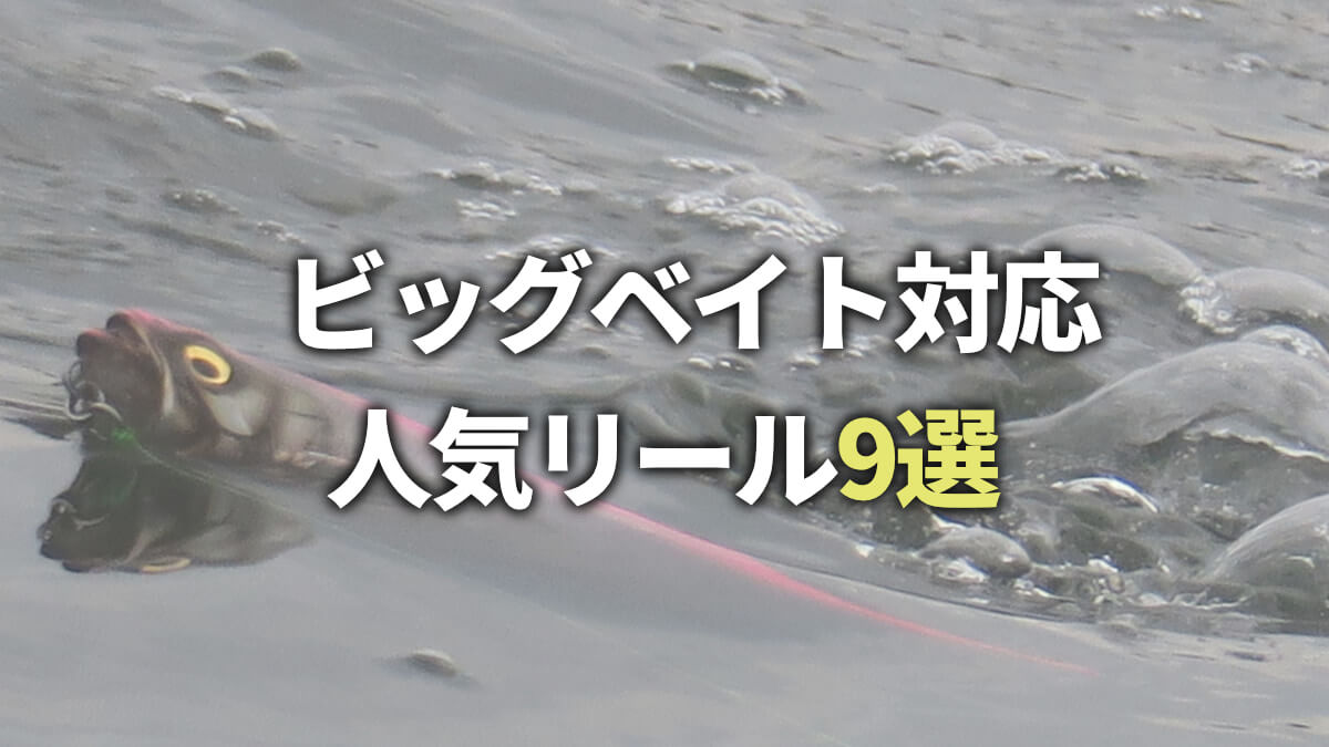 もう迷わない！人気のビッグベイト対応リール厳選カタログ《9選