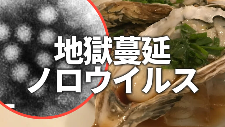 《地獄》ノロウイルス「生ガキ」だけじゃない！感染原因とは