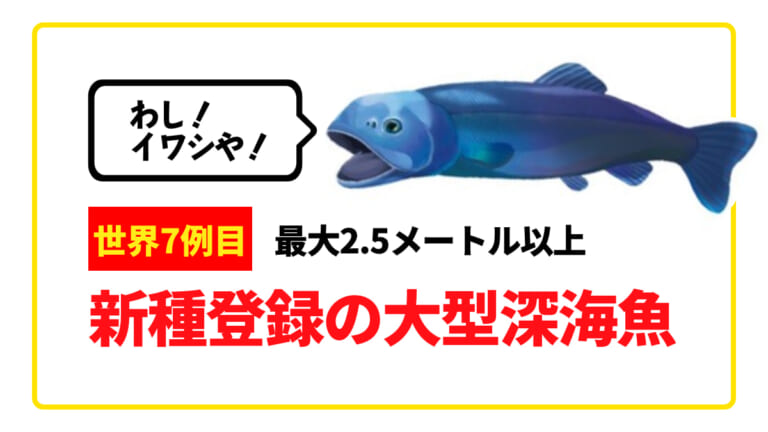 《エグイて》2.5mを超えるイワシ!? 水深2000m、かつてない深世界をサンシャイン水族館で展示！