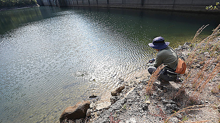 釣り バス 池 川 いろいろ - 岡山県のその他