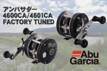 アブファン歓喜！10年ぶりに復刻!!『アンバサダー4500C/4501C/5500C