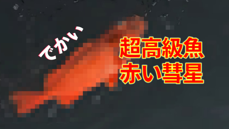 《赤い彗星》深海1000mからヤバすぎる幻の超高級魚を釣りあげた結果…！