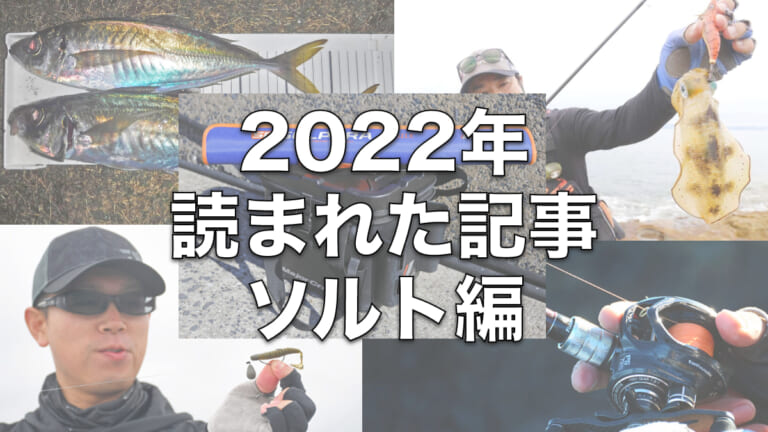 2022年に読まれた記事をピックアップ《ソルト編》