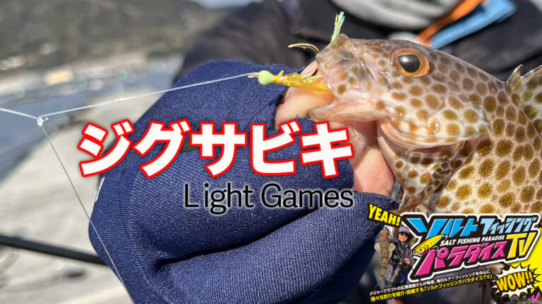 簡単&高確率！ジグサビキで堤防ライトゲーム！【ソルトフィッシングパラダイスTV】