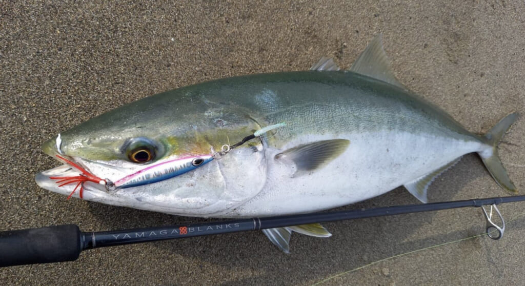 究極の汎用ロッド》大注目の新製品は釣り人の要望にとことん答えた