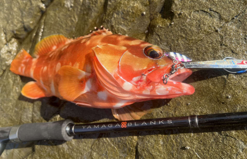 値下げ！ヤマガブランクス　88チェイン　シーバス・ショアジギングロッド ヤマガブランクス 88 CHAIN | 全ての商品 | FEED WEB SHOPロッド