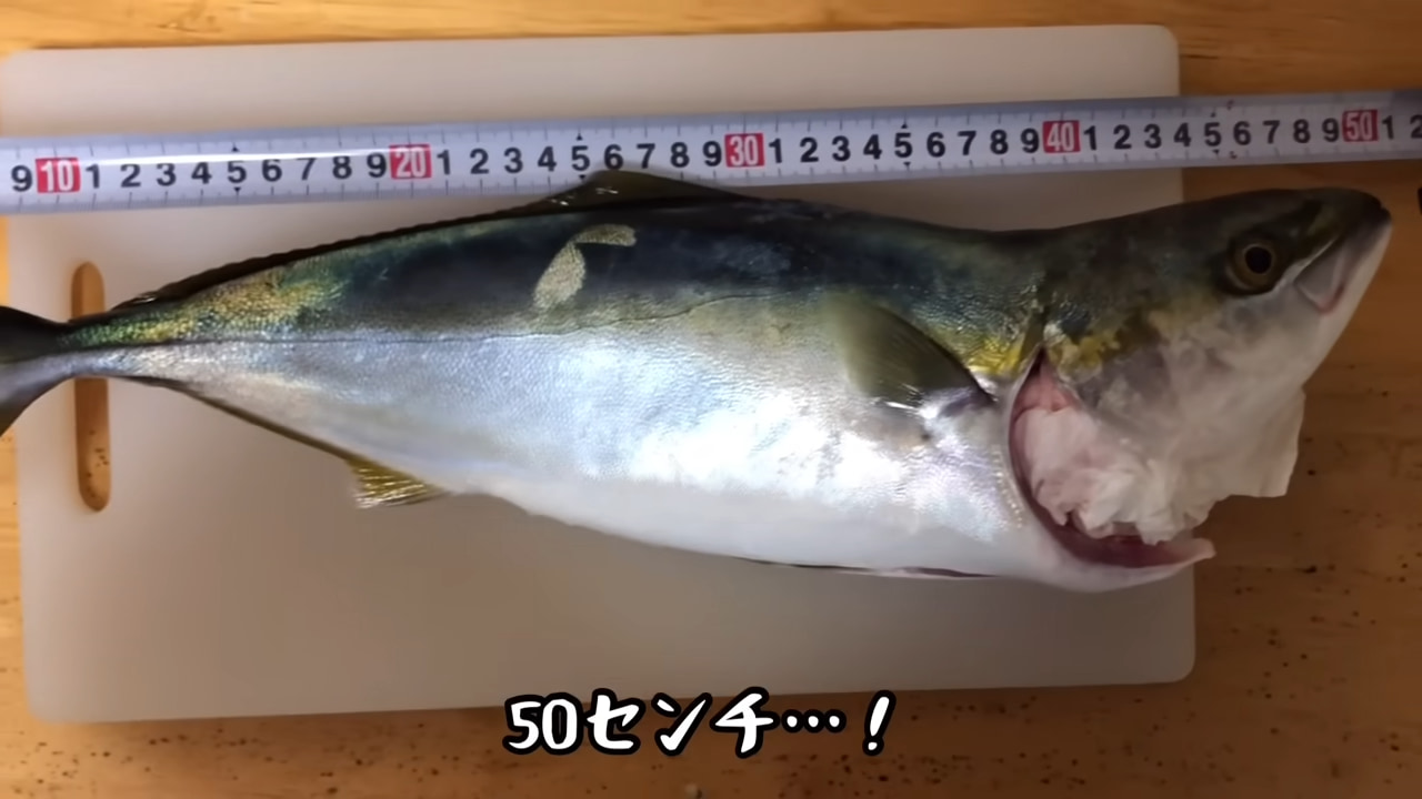 ｜《まさか》出勤前スーツ姿の釣り女子さん、巨大魚掛けたらとんでもない事態発生！