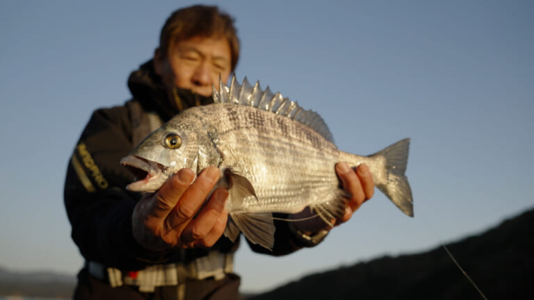 山本太郎が挑む厳寒期の巨大チヌ。 愛媛県宇和島エリア 北灘のカセ釣りで年なしに出会えるか!?