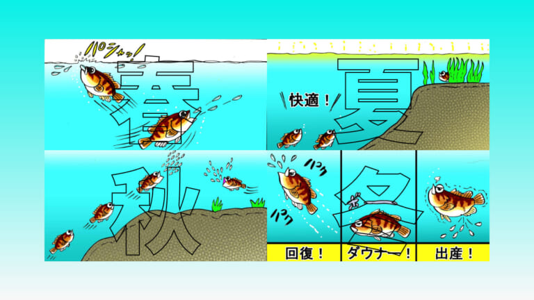 《メバルの生態》釣れる時期や爆釣ルアーを導きだす基礎知識と激選ルアー7種（90ページ目）
