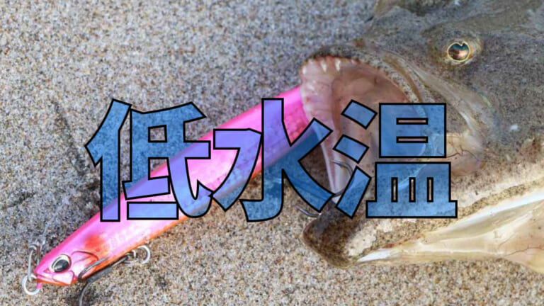 《低活性ヒラメ》の鉄則！ 低水温時はスロー引き、濁り潮には視認性の高いルアーを選択！