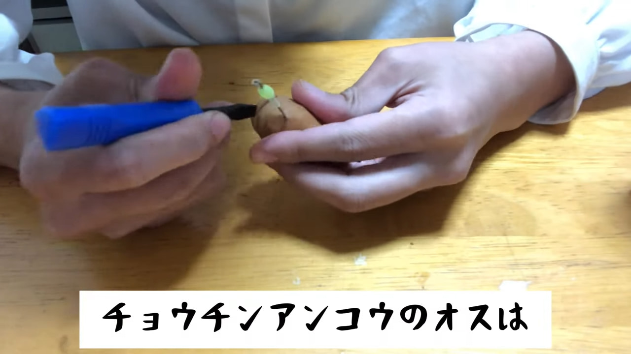 ｜釣り女子さん釣り具を魔改造して名状しがたい異形を召喚してしまう……！ ソレ、釣れるんですか!?