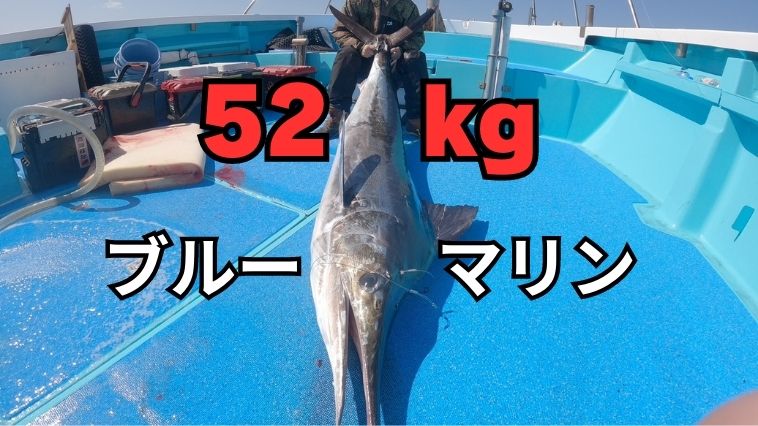 《人よりでかい魚！》トンジギで釣れた「トンでもない魚」はなんと52kgのカジキ！ 【HANFブログより転載】
