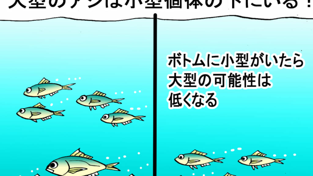 でかアジを狙って釣る方法ってある？」エキスパートがズバッ！と解説