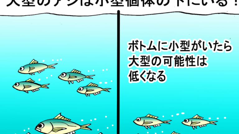「でかアジを狙って釣る方法ってある？」エキスパートがズバッ！と解説［ティクト・トミー敦］