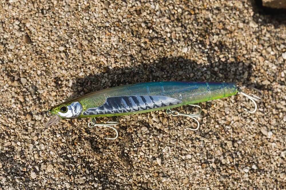 まるで本物の「イワシ」！シマノと海洋堂がコラボしたリアルさと