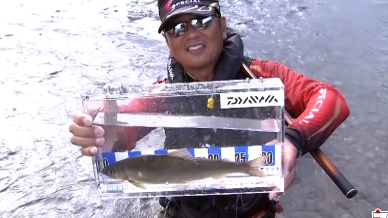 《30cm超え》とんでもないサイズの鮎狙いで大鮎連発！熊本 球磨川を舞台に名手が攻める！